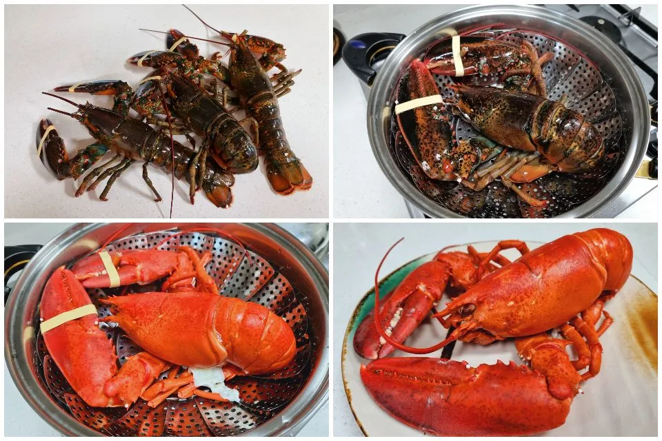 steamed lobster|steven z.y.さん