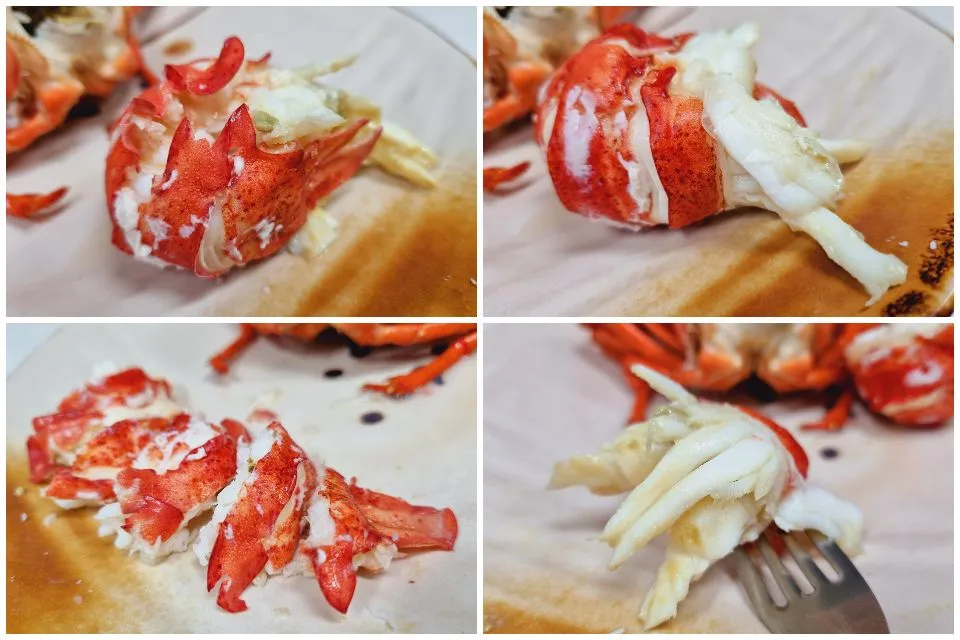 steamed lobster|steven z.y.さん