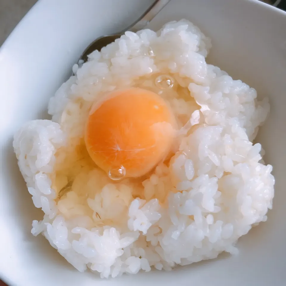 朝ご飯|まめさん