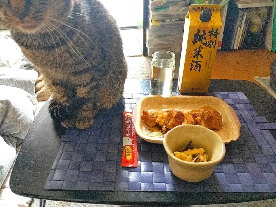 夜勤明け端午の節句でにゃたろうは和牛チャチュール・飼い主は鹿児島県産若鶏照り焼き＆若竹穂先突出しを純米酒で🎏🍶|Tarou  Masayukiさん