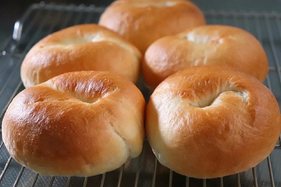 ベーグル🥯|きみぷさん