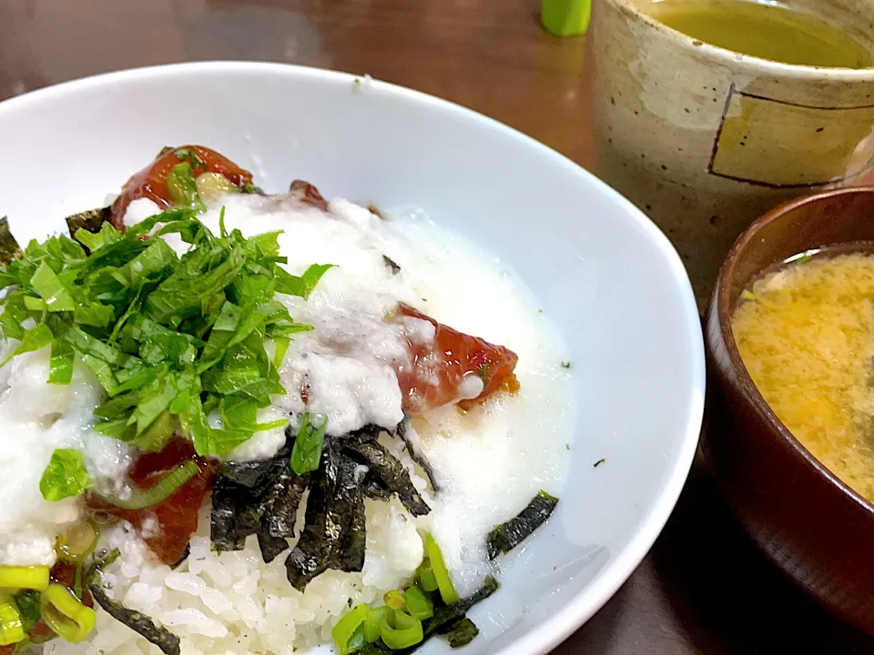 マグロの山かけ丼|ふくぷくさん