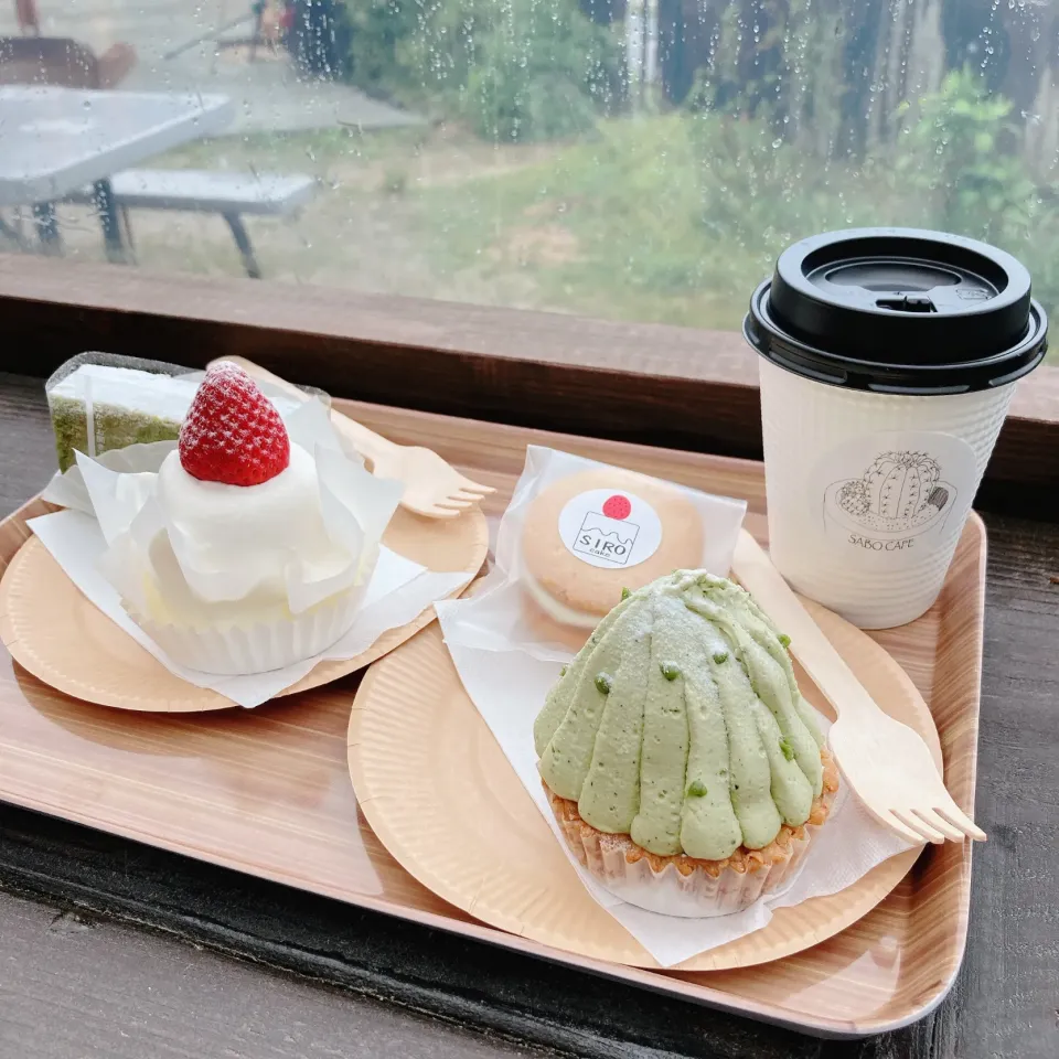 抹茶のサボテンモンブランと苺ショート　抹茶チョコレートとバターサンド🌵🍓🍫|ちゃみこさん