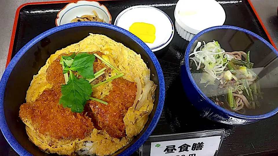 ヒレカツ丼・ハーフ山菜そばセット|nyama1さん