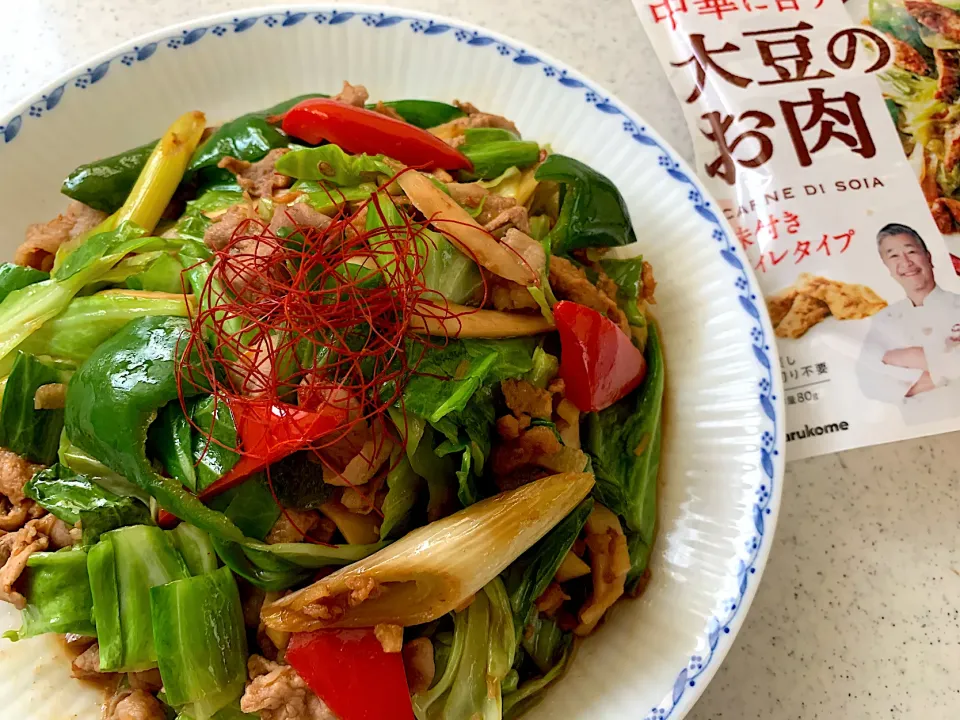 Snapdishの料理写真:大豆のお肉で回鍋肉🎶|がおりんさん