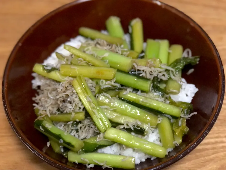 ☆野沢菜のじゃこ炒め丼|まぁたんさん