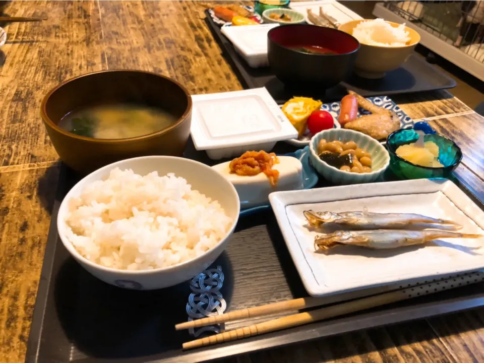 朝御飯～✨|パンダ母さん🐼さん