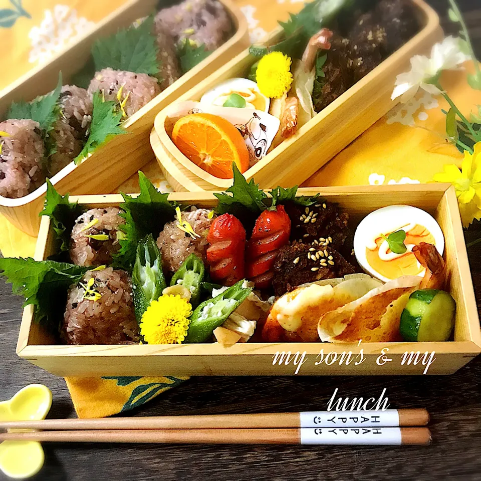 Snapdishの料理写真:お赤飯おにぎり弁当|kotokotoさん