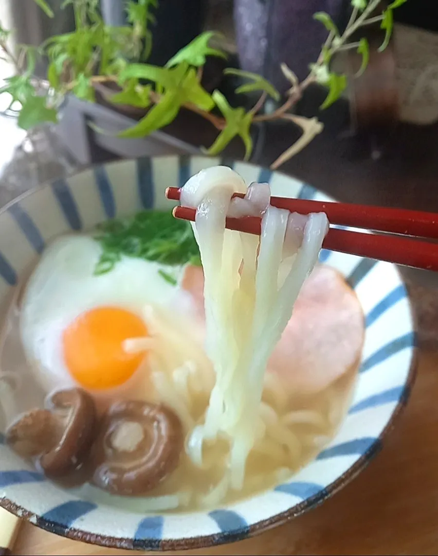 ｲﾝｸﾞﾘｯｼｭﾌﾞﾚｯｸﾌｧｽﾄうどん|まりおさん