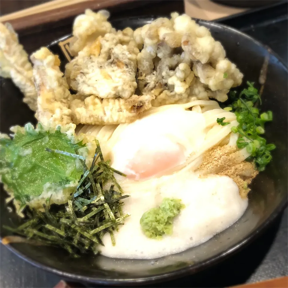 手打ちうどん「大河」ぶっかけとりまいたけてん|Hiro Yanさん