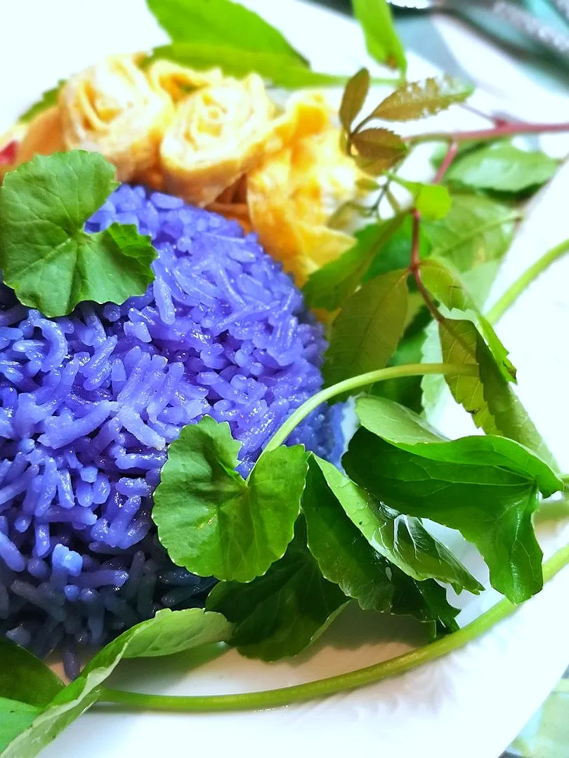 Jasmin Rice​ boiled with Clitoria ternatea juices. 🍚🌼🟣🍋|👑Rawi🍁Riw👑さん