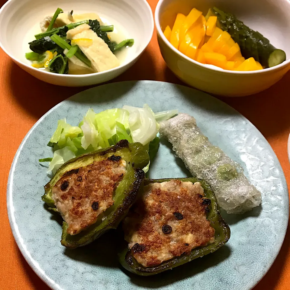 Snapdishの料理写真:ピーマン肉詰め、そら豆の春巻き、野沢菜の煮物、パプリカときゅうりのぬか漬け|ゼニコさん