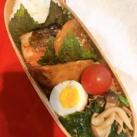 Snapdishの料理写真:鮭の照り焼き弁当|ぎんなんさん