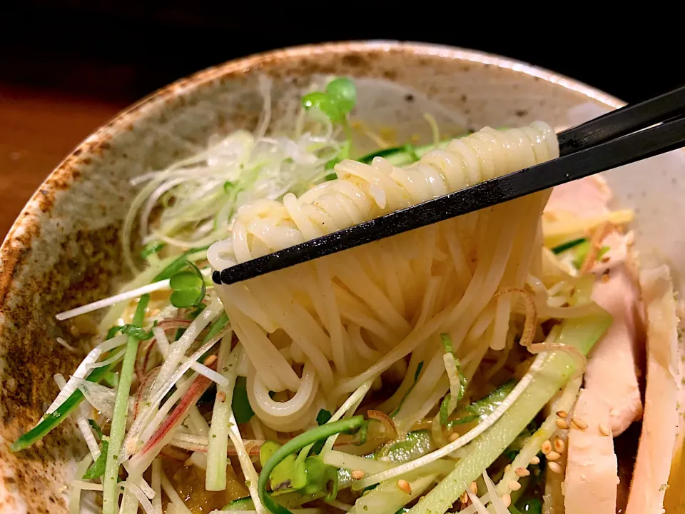 鶏むね薬味野菜出汁カレー|半田手延べそうめんの店 阿波や壱兆さん