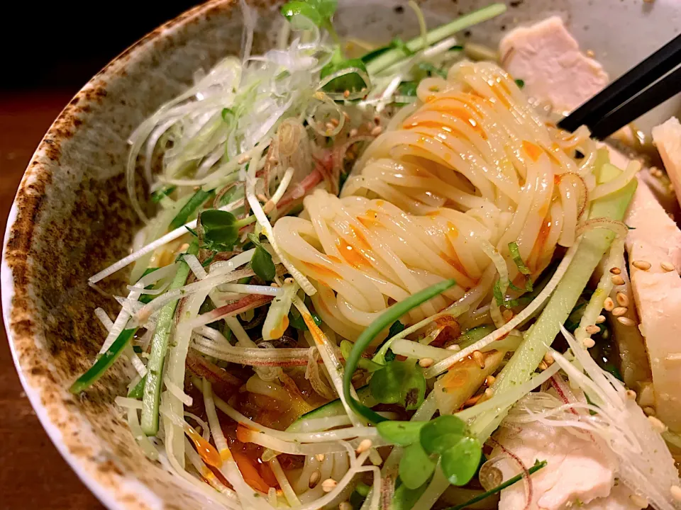 鶏むね薬味野菜出汁カレー|半田手延べそうめんの店 阿波や壱兆さん