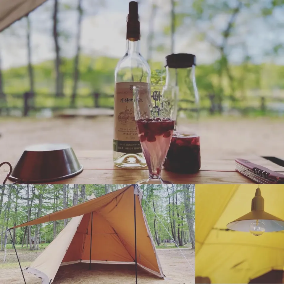 冷凍フルーツで白ワインのサングリア🍷てか久しぶりの完ソロ🏕|ジョニーさん