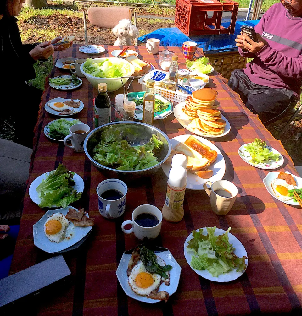 Snapdishの料理写真:畑で朝食を❤️お外ごはん|ミミちゃんママさん