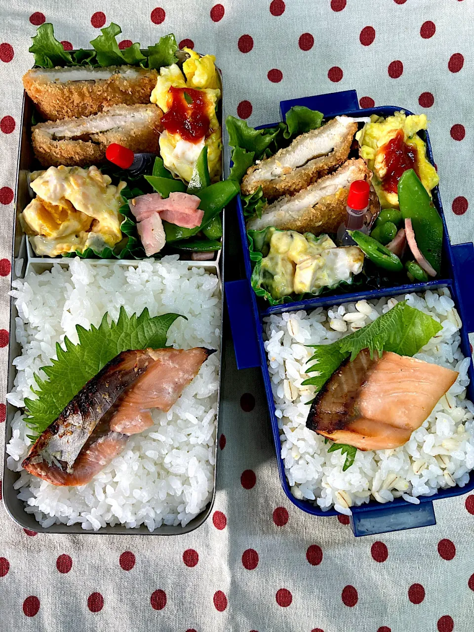 Snapdishの料理写真:5月11日　今日は曇天　弁当🍱|sakuramochiさん