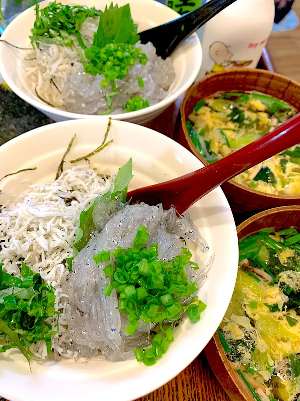 しらす二色丼|シュトママさん