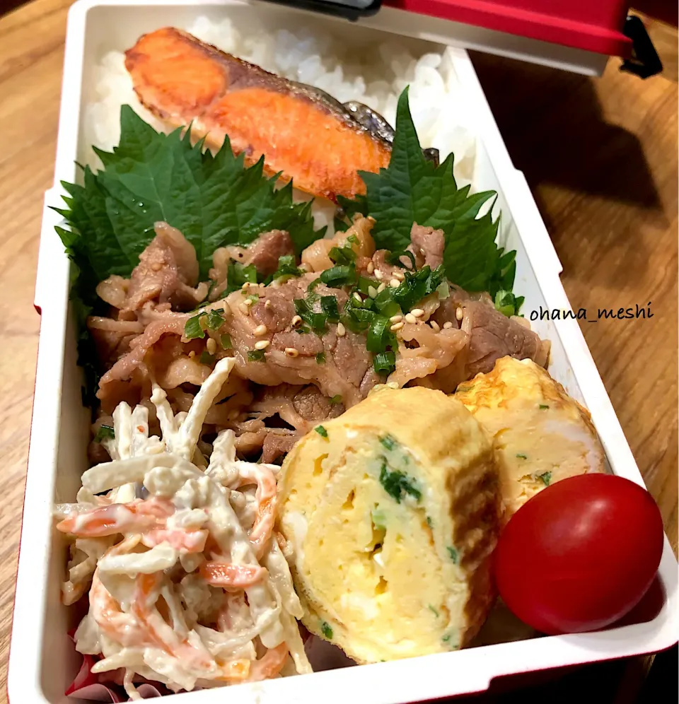 Snapdishの料理写真:お弁当|nachiさん