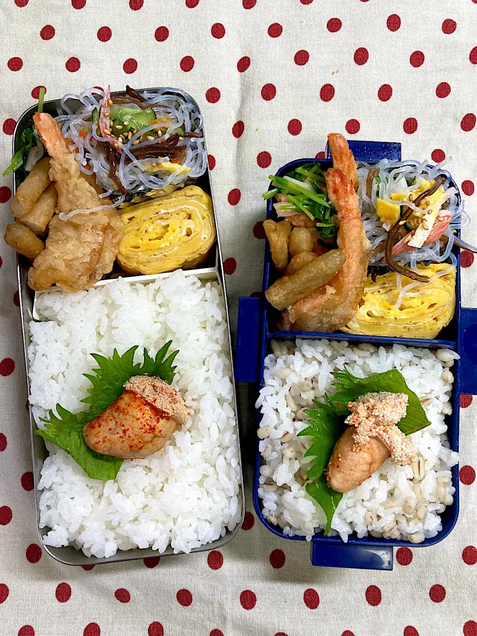 5月12日　もう梅雨入り(？)弁当🍱|sakuramochiさん