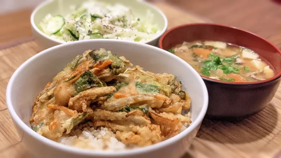 かき揚げ丼〜
の晩ごはん✨|kaz(*･ω･)さん