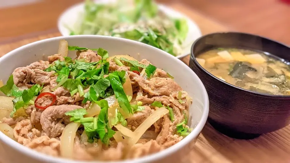 豚丼〜
の晩ごはん✨|kaz(*･ω･)さん