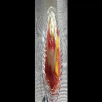 キウイのプレーンカルピスゼリー|比古さん