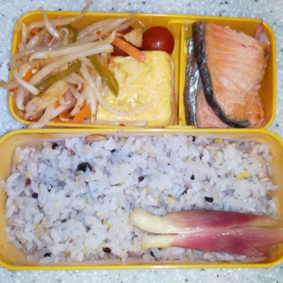 マイ弁当|アクちゃんさん