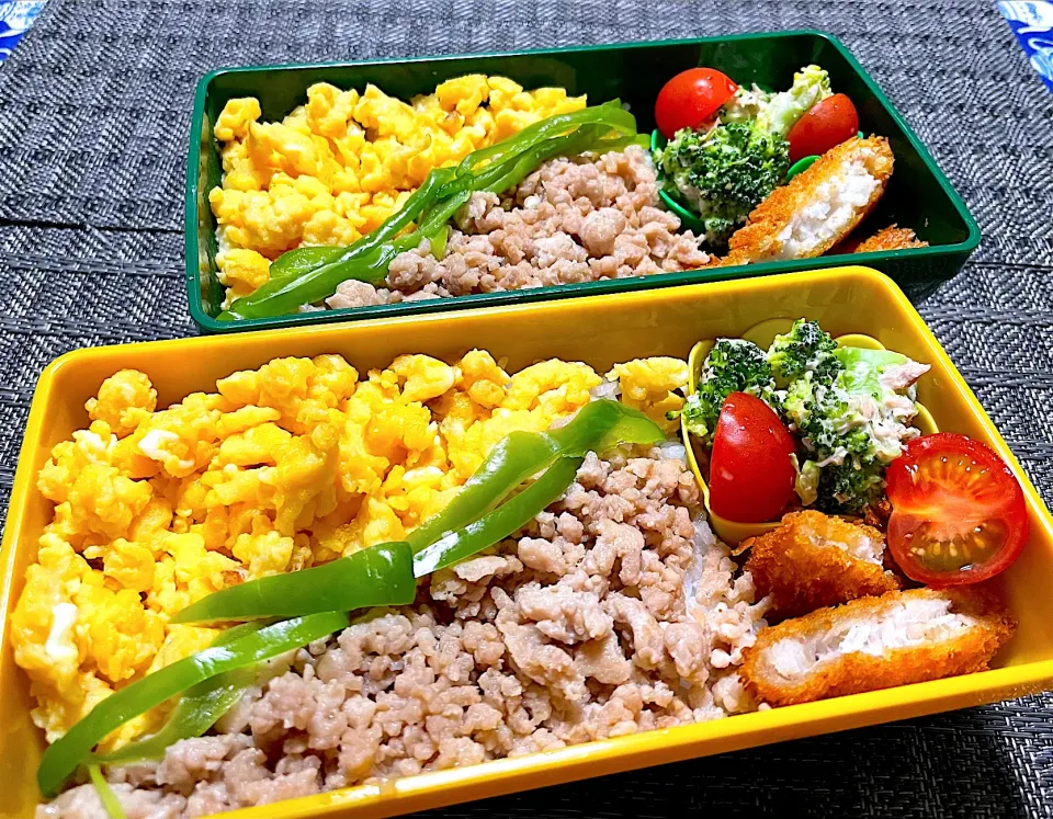 Snapdishの料理写真:鶏そぼろ2色弁当|mettiさん