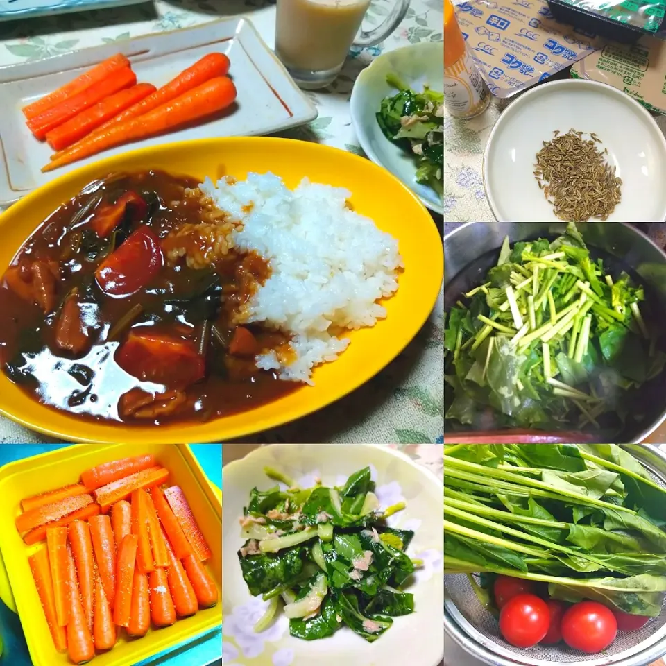 情熱大陸の絶品おうちカレー🍛|うたかた。さん