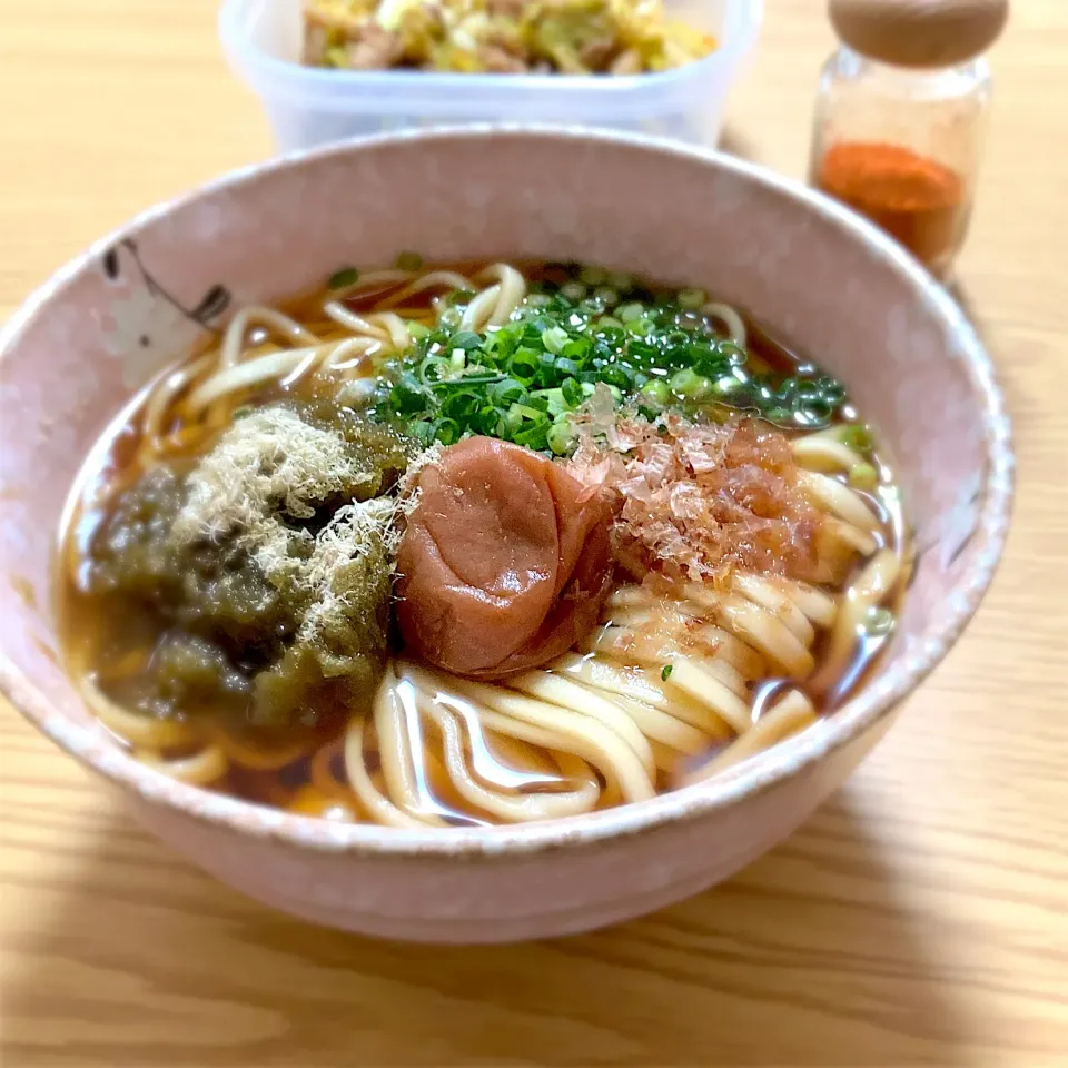 とろろ昆布うどんで昼食|ツインうさぎさん