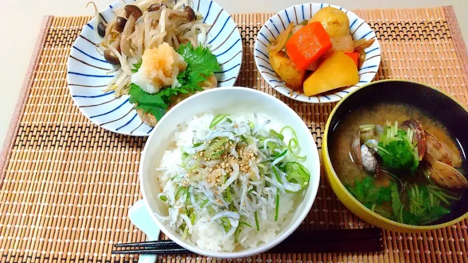 しらす丼と豆腐ハンバーグ|Yoshiko Miyazakiさん