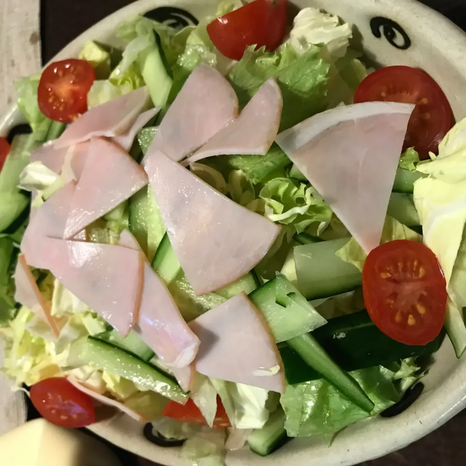 ハムサラダ🥗|純さん