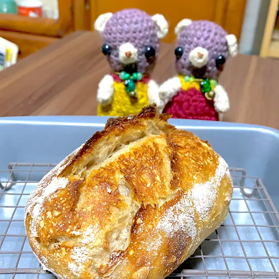 パックリ元気なカンパーニュ焼き立てヽ(・∀・)|chagashiさん