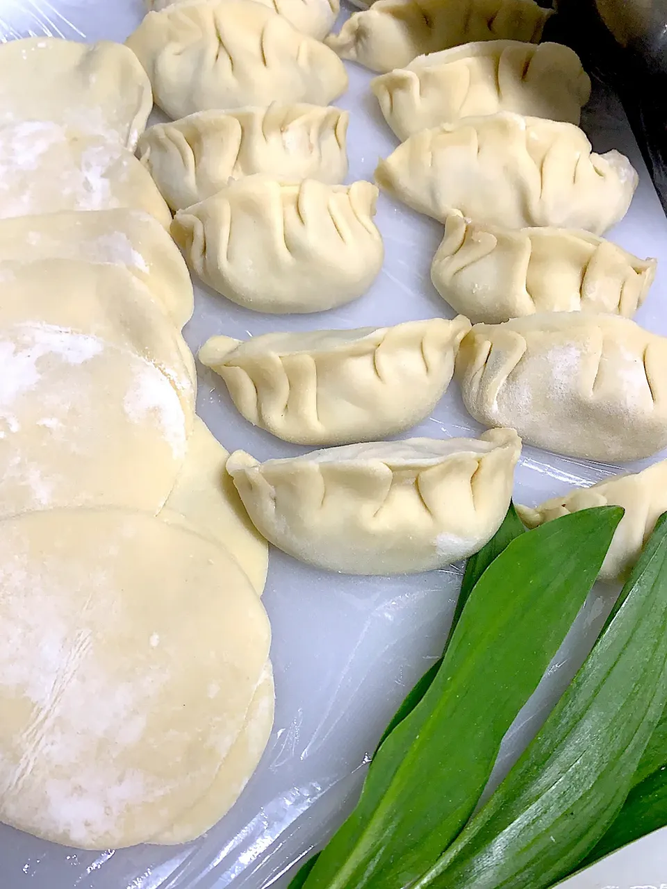 行者にんにくの手作り餃子🥟|イタパセさん