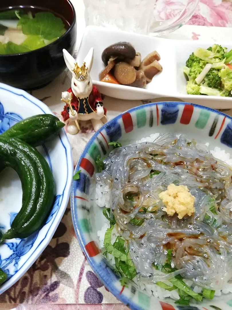 ''21,5/15
しらす丼と作りおきで晩ご飯😋|たえさん