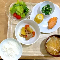 Snapdishの料理写真:南国の和定食　塩鮭、肉じゃがなど|mikomikoさん