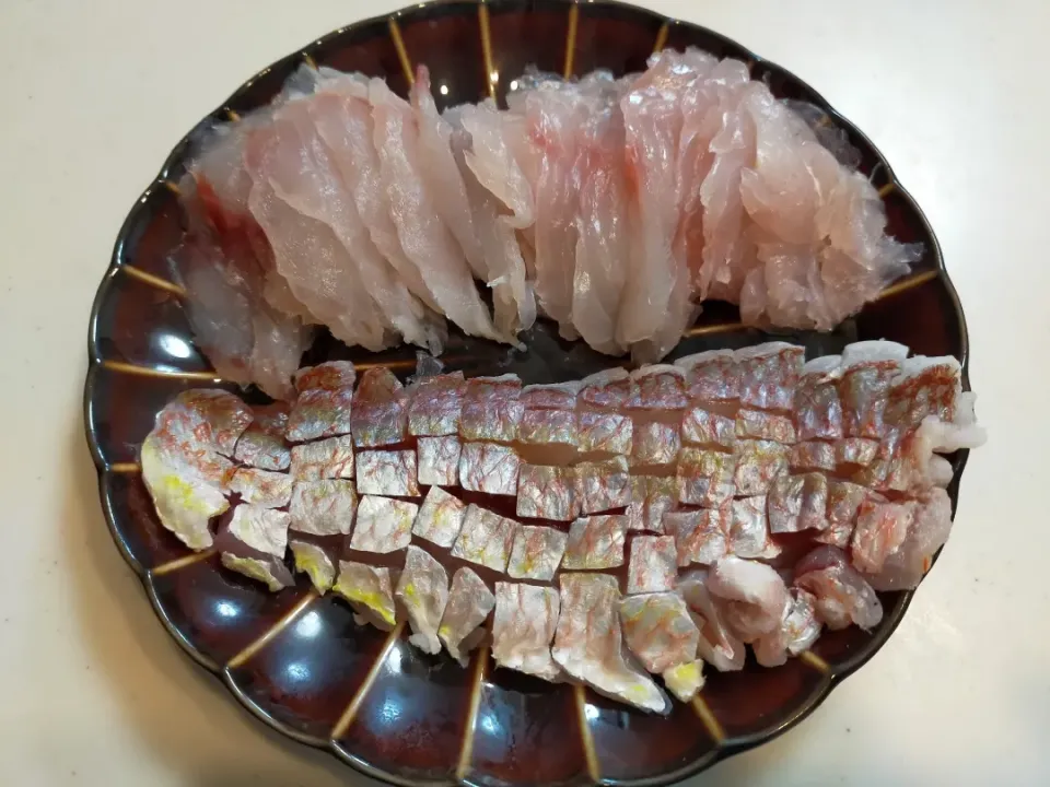 房総半島でゴムボート釣りで真鯛とイトヨリダイを刺身似して食った|フージさん