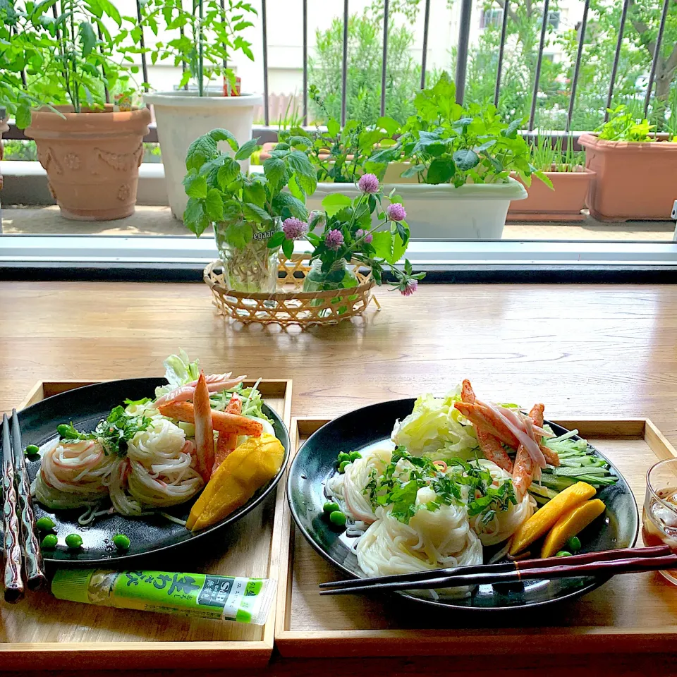 床置き冷麦昼ごはん|シュトママさん