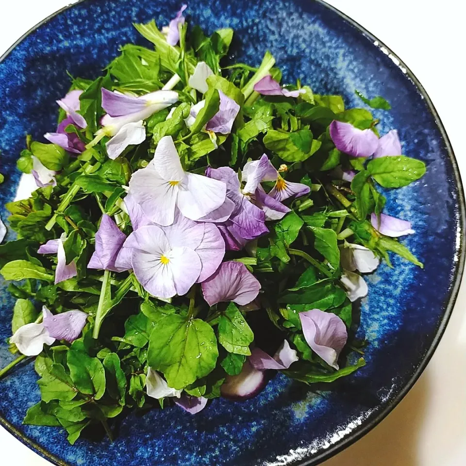 クレソンとエディブルフラワーのサラダ🥗|ファンメイ🌺さん