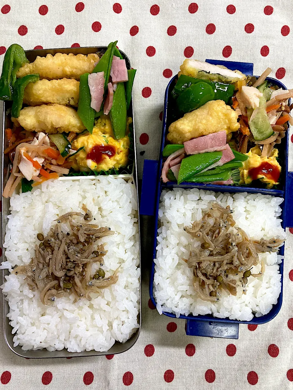 Snapdishの料理写真:5月19日　梅雨の晴れ間弁当🍱|sakuramochiさん