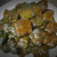 dolmaaaaa|Mustafabardiniさん