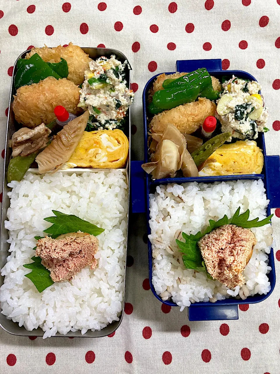 Snapdishの料理写真:5月21日　週末弁当🍱|sakuramochiさん