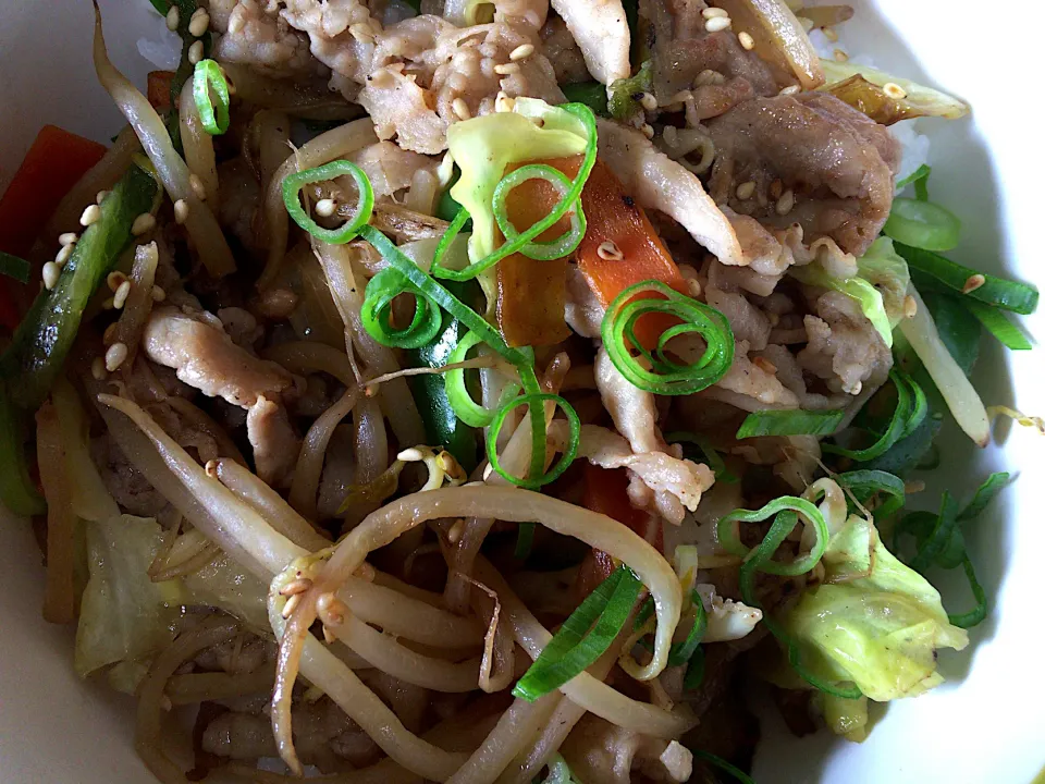 豚肉野菜炒め(ハーフ)丼|ばーさんさん