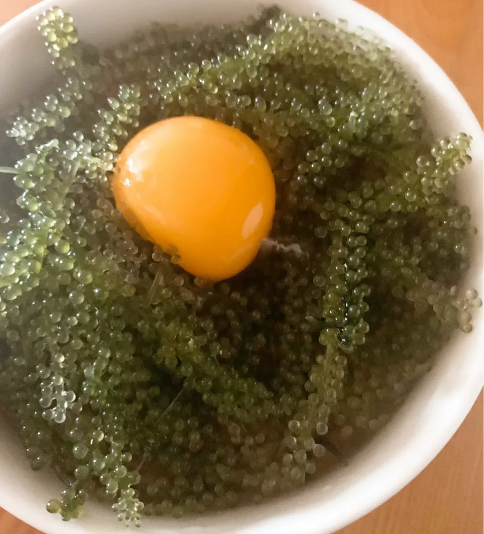 Snapdishの料理写真:海ぶどうDon作ったよ🍚|NOMU'S キッチン🍳さん