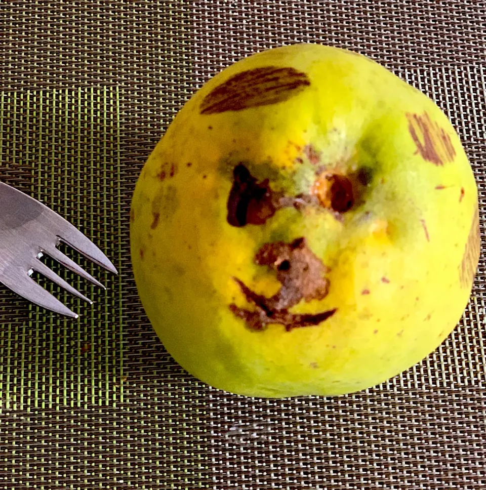 Snapdishの料理写真:🍏です。ちょっと怖すぎ‼︎   パレイドリア現象。　今朝のチコちゃんで知って思い出した一枚。　　　　　　　　ジェイソンに見えてしまうのは私だけ？　　📌パレイドリア（英: Pareidolia）とは、心理現象の一種で、視覚刺激や聴覚刺激を受けとり、普段からよく知ったパターンを本来そこに存在しないにもかかわらず心に思い浮かべる現象を指すのだそうです🙀|milanmilanさん