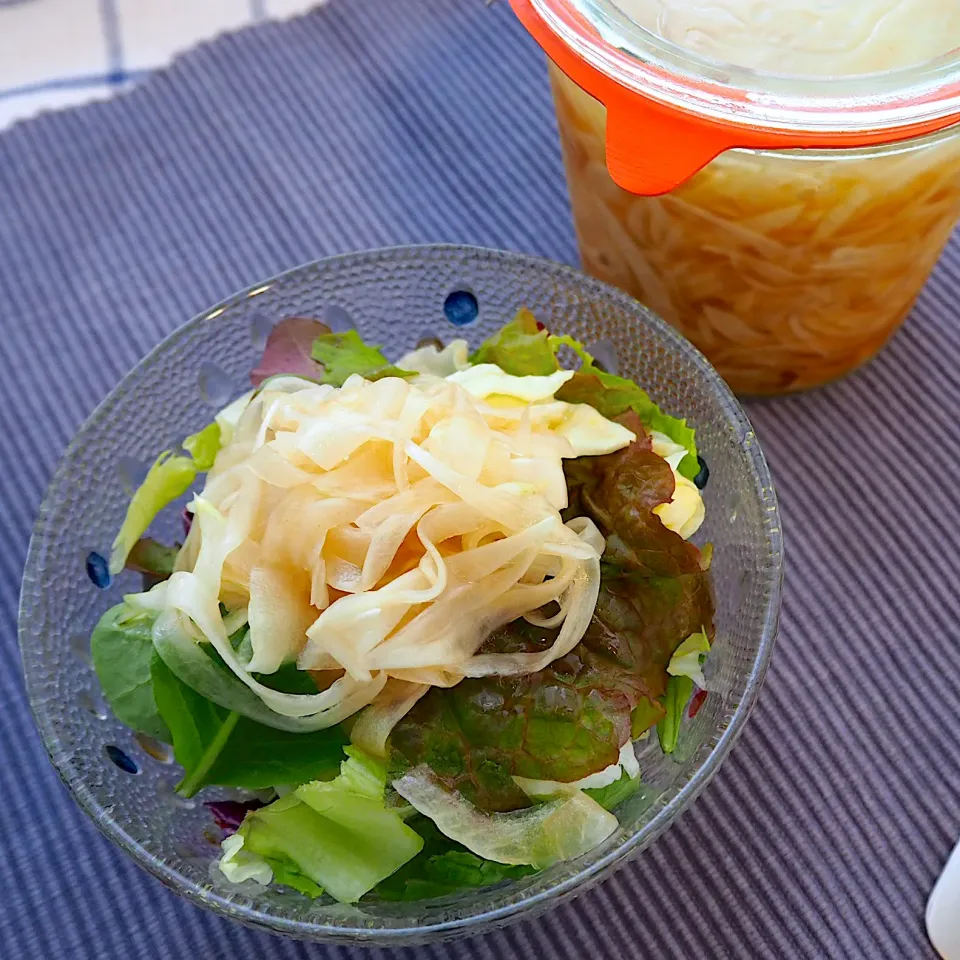 Snapdishの料理写真:酢醤油玉ねぎサラダ🥗|natuさん