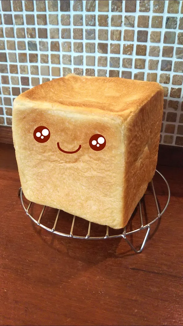 今日のパン子ちゃん🍞|きみちさん