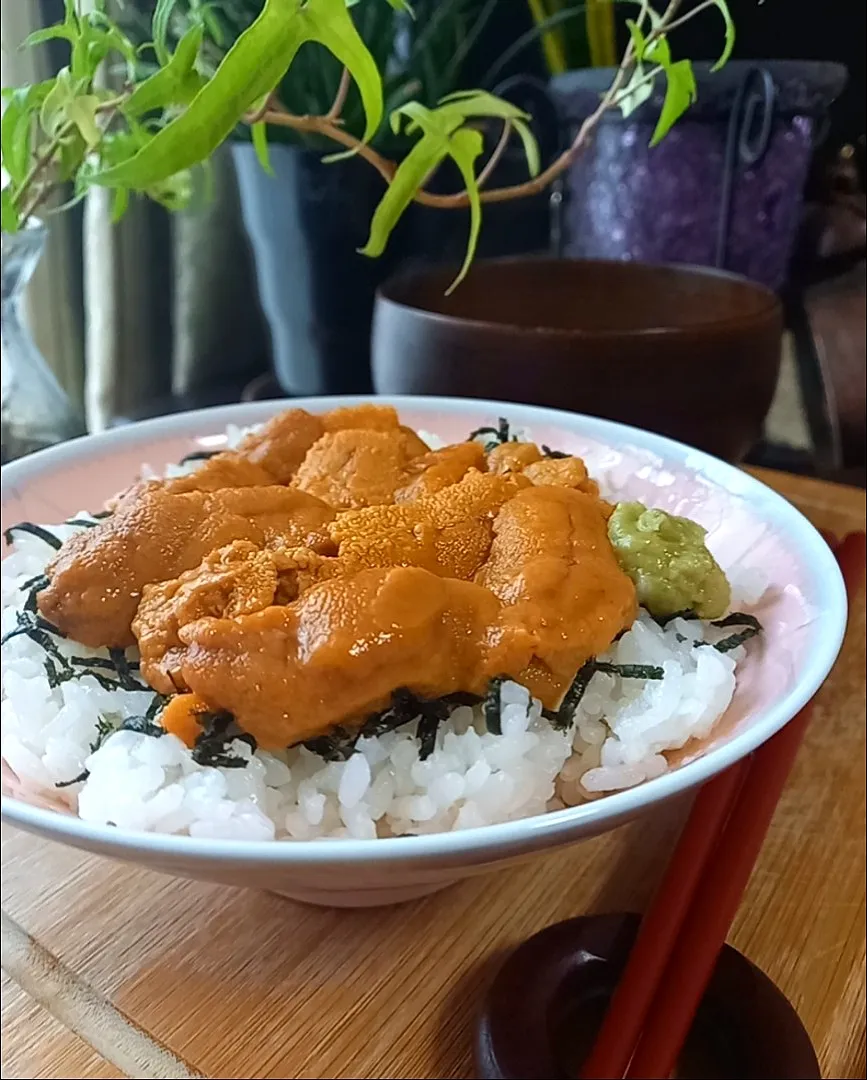 うに丼|まりおさん